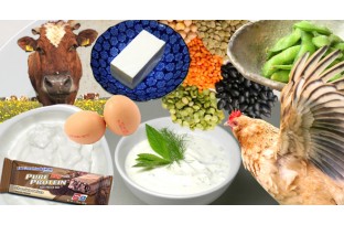 Everything you ever wanted to know about protein